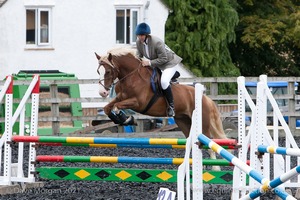 Class 7 - Fences 3' to 3'3